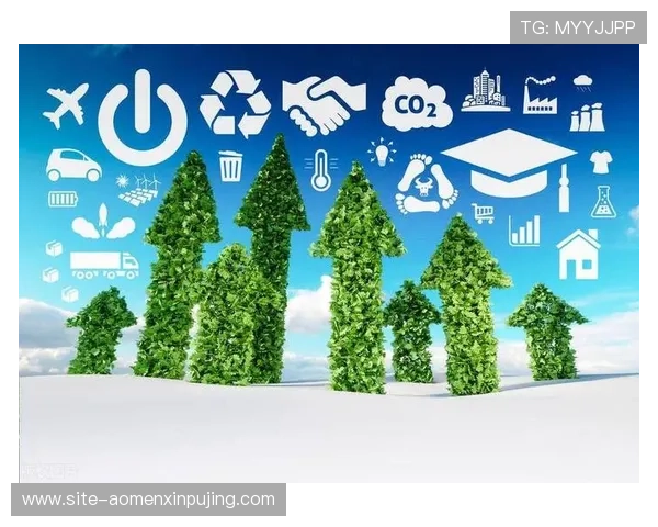 新普京集团：积极响应国家政策，推动行业绿色转型与可持续发展