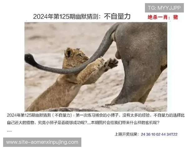 澳门开奖中文站如何保障开奖信息的真实性与安全性确保用户权益